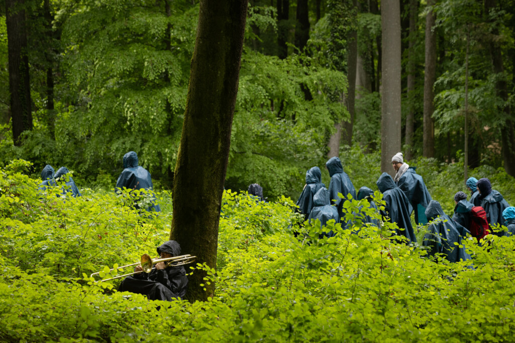 Menschen mit Regenbekleidung spazieren durch den Wald