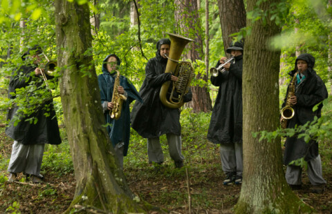 Fünf Musiker*innen spielen mitten im Wald bei „Shared Landscapes“