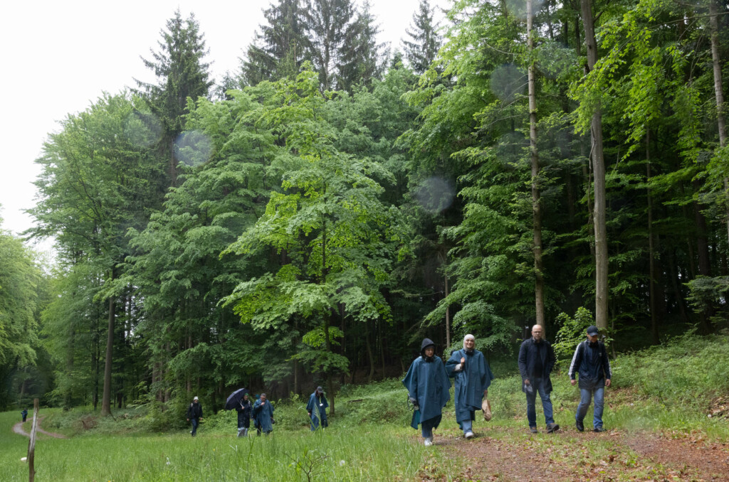 Menschen mit Regenbekleidung gehen auf einem Waldweg