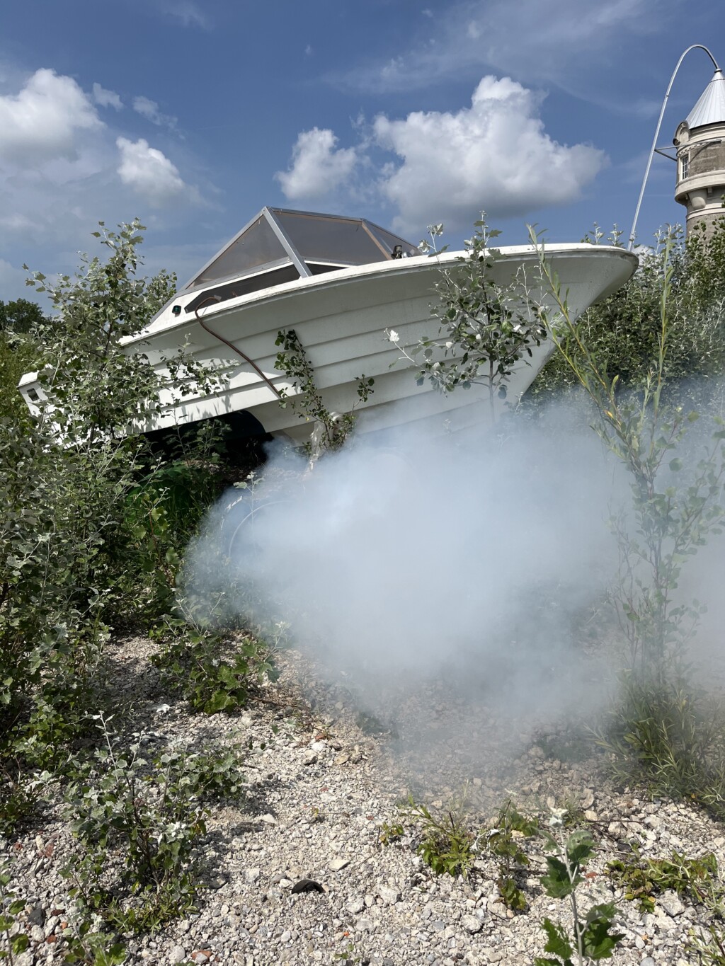 Ein Motorboot liegt im Gestrüpp