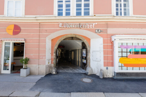 Ein Haustor mit der Aufschrift Löwinnenhof
